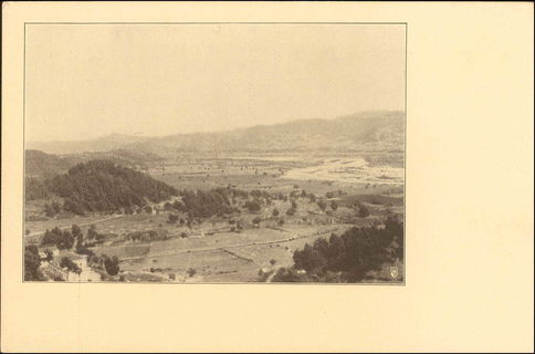 Lot 01430
