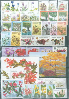 Lot 01052