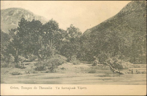 Lot 01439