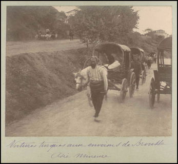 Lot 08787