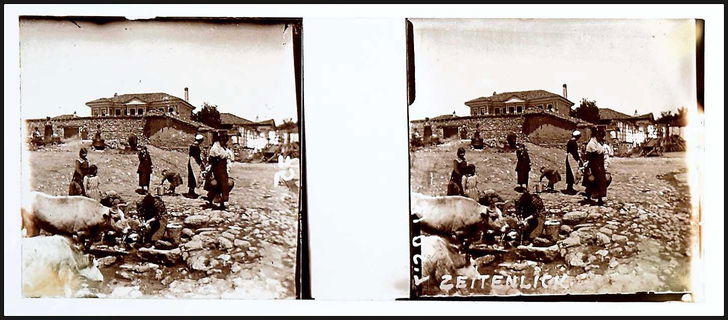 Lot 06595