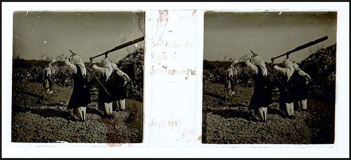Lot 06587